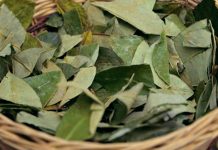 Por el conflicto en Bolivia hay faltante de coca y aumentó más del 30%