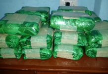 Millonario secuestro de hojas de coca y cigarrillos en operativos policiales en Anta