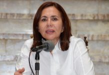 Cancillería de Bolivia denunciará ante la OEA y ONU a Argentina por «grave intromisión» en temas electorales