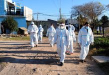 El Ministerio de Salud Pública de la Nación confirmo hoy 10.684 nuevos casos y 262 muertes