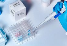 Jujuy: Se registraron 294 nuevos contagios y 10 muertes por coronavirus en la provincia