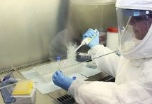 Coronavirus: hoy en Salta se confirmaron 356 nuevos casos y 12 fallecimientos