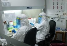 Coronavirus en Argentina: confirmaron 241 muertes y 11.507 nuevos contagios en las últimas 24 horas