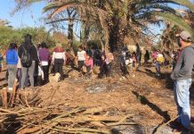 Las amenazas, extorsiones y estafas de Yamila Veleizán, la “Milagro Sala 2” que encabeza una masiva toma de tierras en Salta