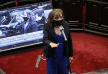 Juro Alcira Figueroa la reemplazante de Ameri el diputado del “pornozoom”