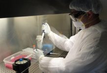 Coronavirus en Argentina: confirmaron 406 muertes y 11.712 nuevos contagios en las últimas 24 horas