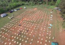 Cae organización familiar dedicada al narcotráfico e incautan 8.829 kilos de marihuana en Misiones