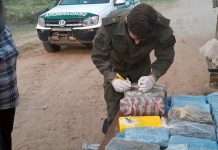 “Atila” lo descubrió: ocultaba 34 kilos de cocaína y 4 de marihuana entre un cargamento de harina de soja que ingresaba de Bolivia