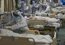 Coronavirus en Argentina: confirmaron 384 muertes y 16.337 nuevos contagios en las últimas 24 horas