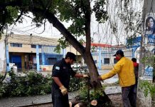 Cayó poca agua en la ciudad: la tormenta de anoche fue más de vientos, relámpagos, truenos y rayos