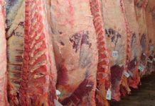 Padre e hijo estafaron a una empresa de carne por más de 160 millones de pesos