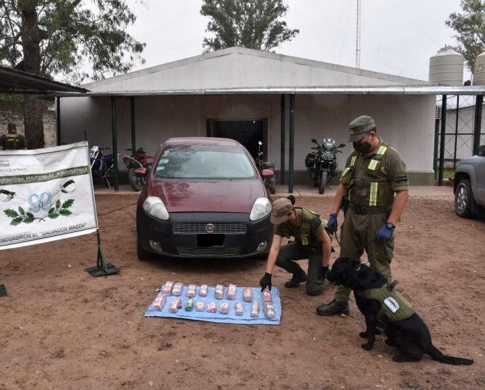 cocaina en salvador mazza