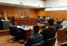 Homicidio del turista francés: en el juicio se escuchó por vía remota la declaración de los padres y la hermana de la víctima