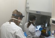 Coronavirus en Argentina: confirmaron 10.621 contagios y 379 nuevas muertes en las últimas 24 horas