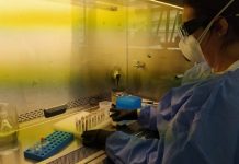 Coronavirus en Argentina: fallecimientos superaron los 37.000 desde el comienzo de la pandemia