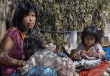 La policía en un desalojo destrozó útiles escolares, ranchos y paneles solares en una comunidad Wichi en Tartagal