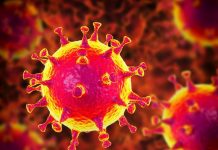 Coronavirus en el Mundo: casi 70 millones de infectados y más de 1,58 millones de muertos