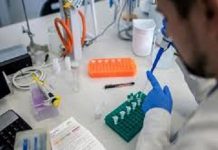 Argentina: confirmaron 213 muertes y 5.303 nuevos contagios en las últimas 24 horas