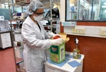 Coronavirus en Argentina: 7.112 nuevos contagios y 178 muertos en 24 hs