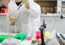 Coronavirus en el Mundo: más de 66,6 millones de contagios y más de 1,53 millones de muertos