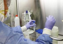 Coronavirus: Argentina tuvo la cifra diaria más alta en diez semanas