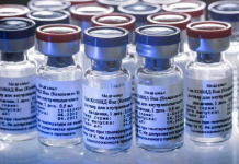 Coronavirus: el Gobierno evalúa aplicar una sola dosis de la vacuna Sputnik V para llegar a 20 millones de personas en marzo