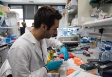 Coronavirus en Argentina: confirmaron 7.151 contagios y 155 nuevas muertes en las últimas 24 horas