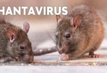 12 casos de hantavirus y cinco fallecidos en Salta