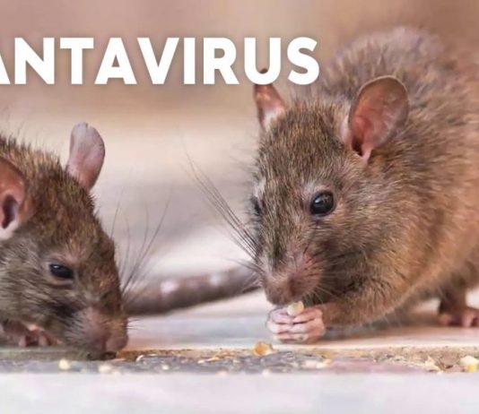 El gendarme internado en terapia intensiva en Orán dio positivo para Hantavirus