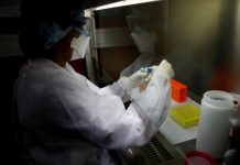 Coronavirus en Argentina: confirmaron 155 muertes y 7.477 nuevos contagios en las últimas 24 horas