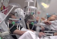 Coronavirus en Argentina: confirmaron 59 muertes y 5.469 contagios en las últimas 24 horas