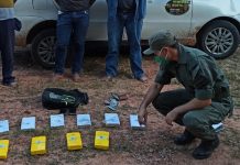 Viajaban en un remis de Pocitos a Tartagal con 10 kilos de cocaína