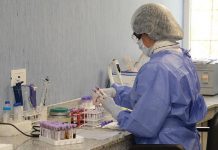 Salta se acerca a los 30 mil contagios: aumentan los casos de coronavirus, las muertes y los internados en terapia intensiva