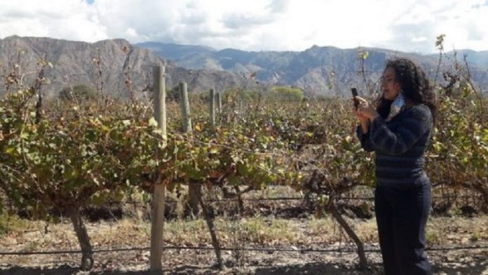 Virginia-Toranzos-en-las-32-hectareas-usurpadas-por-Pernod-Ricard