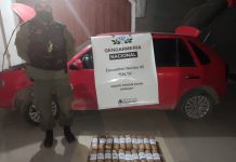 Ocultaban 23 kilos de cocaína en el tanque de combustible del vehículo que partió de Orán