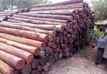 Cayeron cuatro acusados por una emboscada millonaria a empresarios cordobeses en Santa Victoria Este
