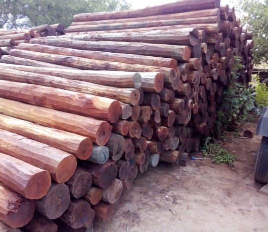 Cayeron cuatro acusados por una emboscada millonaria a empresarios cordobeses en Santa Victoria Este