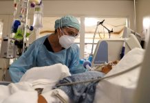 Coronavirus en Argentina: confirmaron 135 muertes y 2.979 contagios en las últimas 24 horas