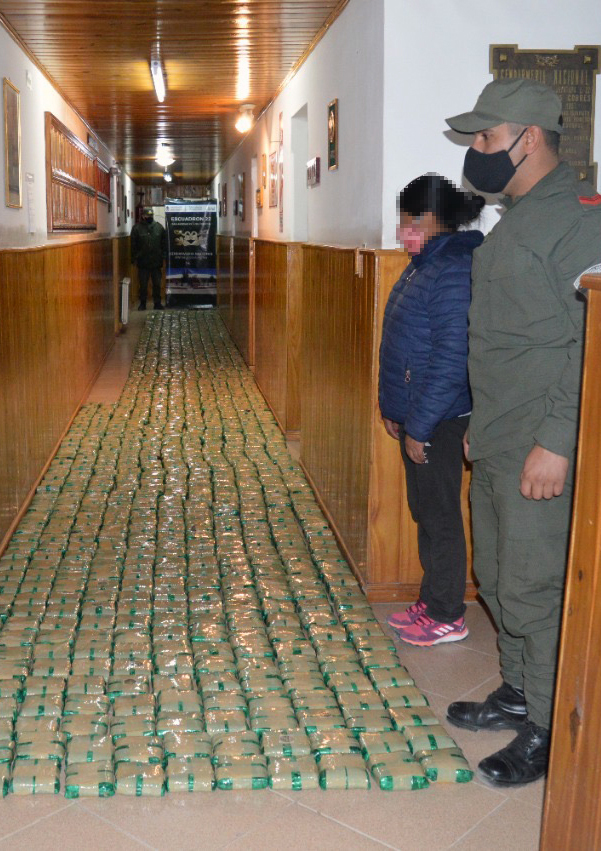 250 kilos coca en los andes