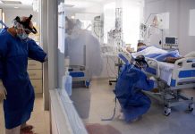 Coronavirus en Argentina: confirmaron 5 muertes y 641 contagios en las últimas 24 horas