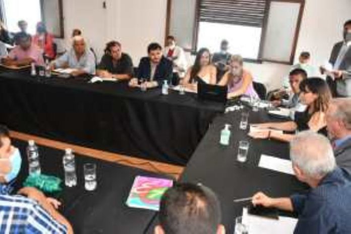 veronica figueroa en el senado