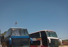 Gendarmes detienen dos ómnibus que intentaban cruzar ilegalmente hacia Bolivia