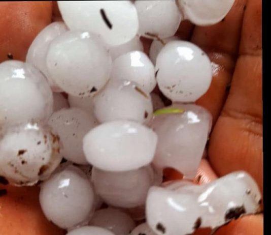 Salta con alerta naranja por tormentas fuertes con granizo y que alcanza a otras 11 provincias