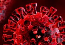 Alarma mundial por la detección de “IHU”: una nueva variante de Coronavirus con más mutaciones que Ómicron