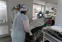 Coronavirus en la Argentina: confirmaron 41.978 nuevos casos y 179 muertes en las últimas 24 horas