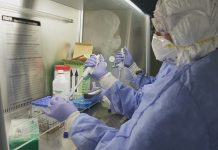 Coronavirus en Argentina: confirmaron 173 muertes y 11.170 contagios en las últimas 24 horas