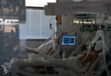 Coronavirus en Argentina: informaron 160 muertes y 16.650 contagios en las últimas 24 horas