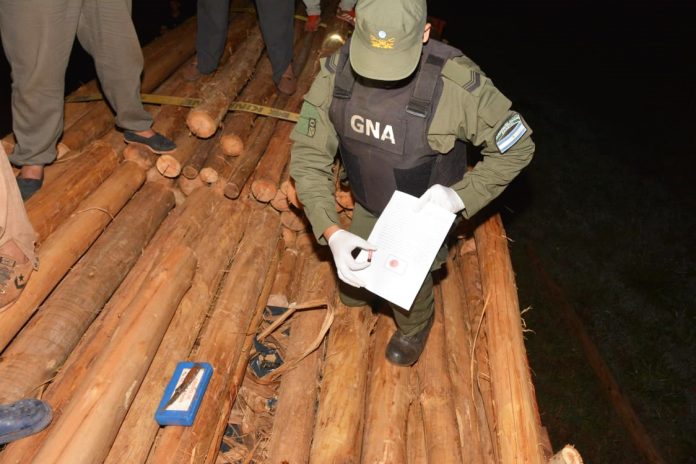 tres toneladas de marihuana en madera