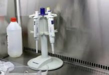 Coronavirus en Argentina: informaron 34 muertes y 2.655 contagios en las últimas 24 horas