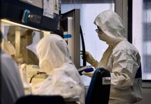 Coronavirus en Argentina: informaron 9.219 contagios y 142 muertes en las últimas 24 horas